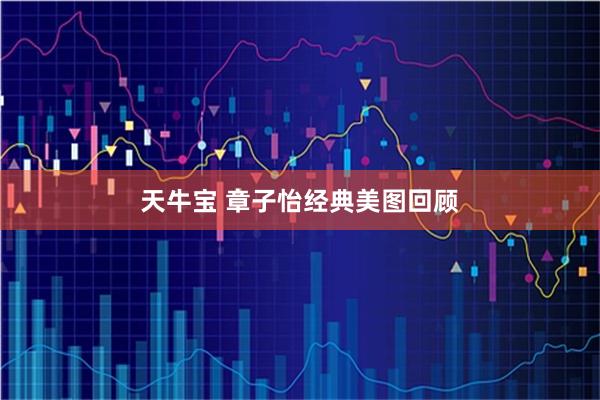 天牛宝 章子怡经典美图回顾