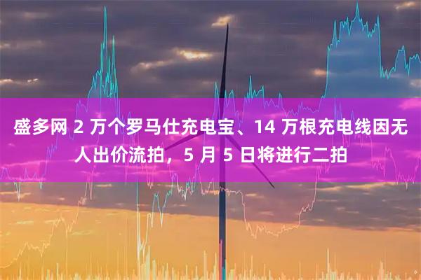 盛多网 2 万个罗马仕充电宝、14 万根充电线因无人出价流拍，5 月 5 日将进行二拍