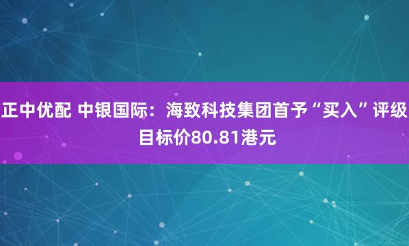 正中优配 中银国际：海致科技集团首予“买入”评级 目标价80.81港元