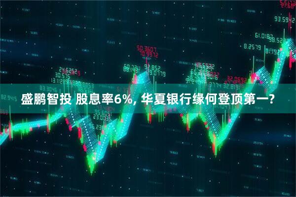 盛鹏智投 股息率6%, 华夏银行缘何登顶第一?